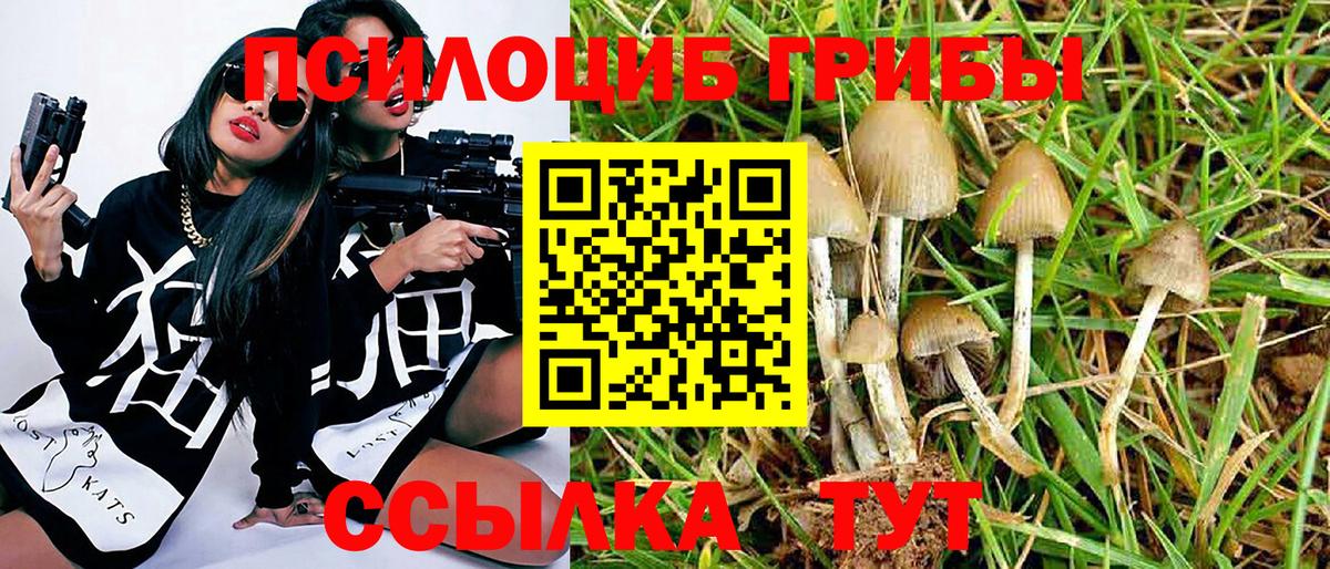 Псилоцибиновые грибы GOLDEN TEACHER  Галлюциногенные грибы прущие грибы  как найти   Вход с VPN  Ипатово 
